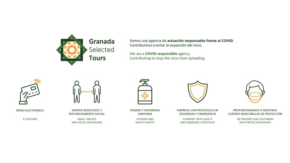 Granada: Fast-Track Alhambra & Nasrid Palaces Guided Tour - Courtyard of the Lions: the one stop you’ll remember long after Granada