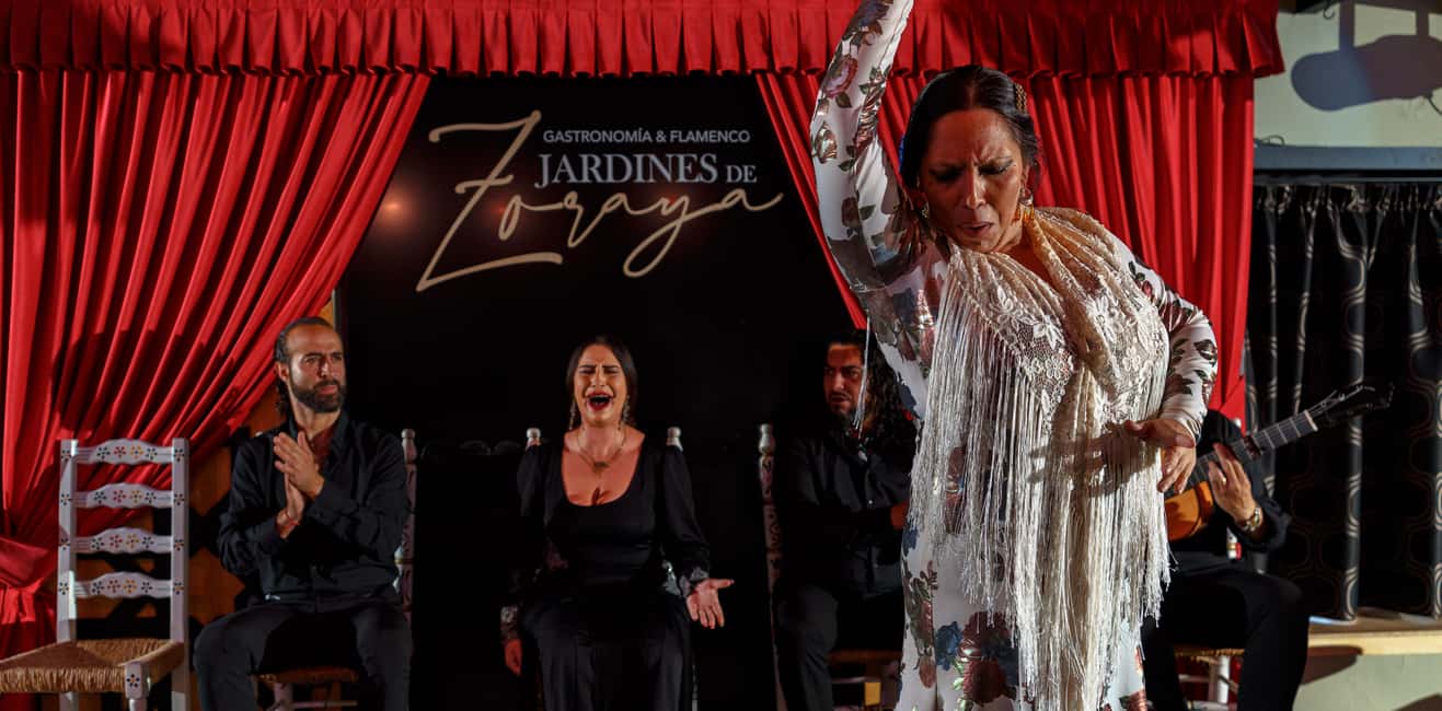 Granada: Flamenco Show in Albayzín - Jardines de Zoraya - Seats and viewing: assigned spots, close stage, and one trade-off
