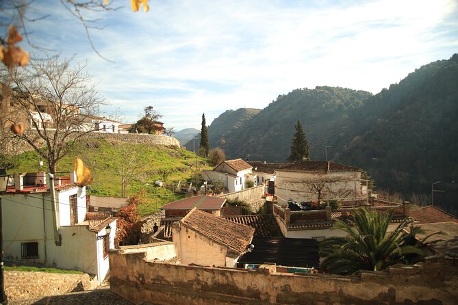 Granada Highlights Tour with Tapas Breaks by Electric Bike - Price and value: is $83.45 a good deal?