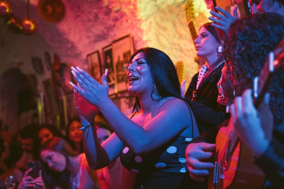 Granada: Los Amayas Cave Flamenco Show in Sacromonte - The show itself: what a 1-hour zambra feels like