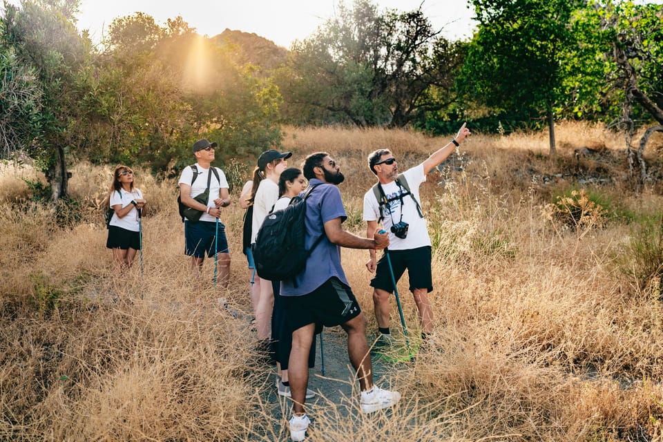 Granada: Los Cahorros de Monachil Canyon Hiking Tour - Quick logistics: meeting point, duration, and what to bring