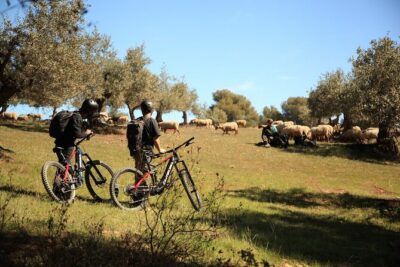 Granada: Nature, Wildlife and Authentic Villages E-bike Tour - Stop 1: La Silla del Moro Viewpoint for Quick Gratification