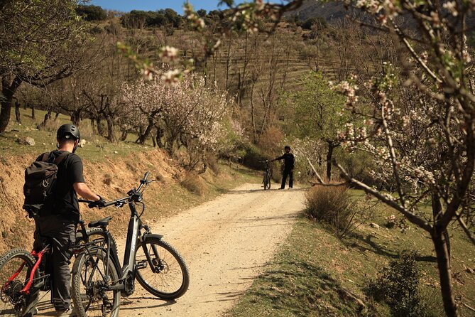 Granada: Nature, Wildlife and Authentic Villages E-bike Tour - Guejar Sierra Village Pause: Real Slower Tempo