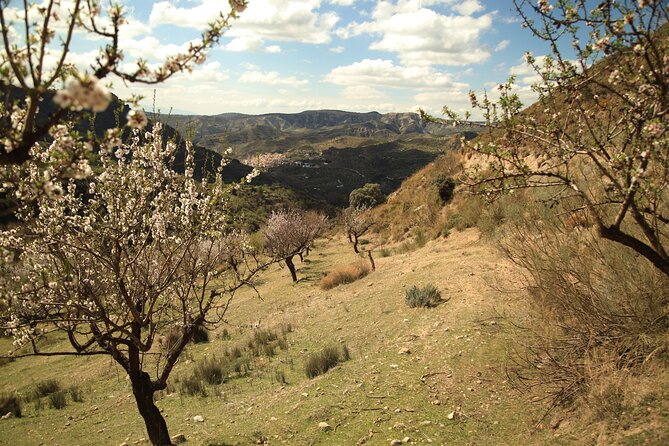 Granada: Nature, Wildlife and Authentic Villages E-bike Tour - Guide Quality: Safety-First Riding With Friendly Local Insight