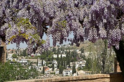 Granada : Private Alhambra Tour + Nazaries Palaces (VIP) - Meeting at Restaurante La Mimbre and Getting Timed Right