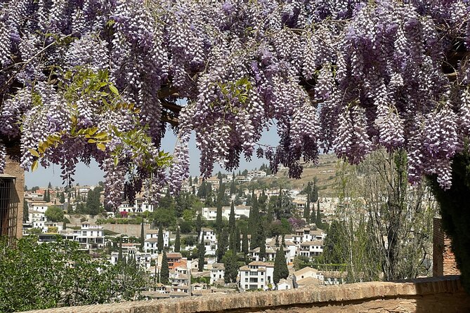 Granada : Private Alhambra Tour + Nazaries Palaces (VIP) - The Guide Factor: Clear English, Better Questions