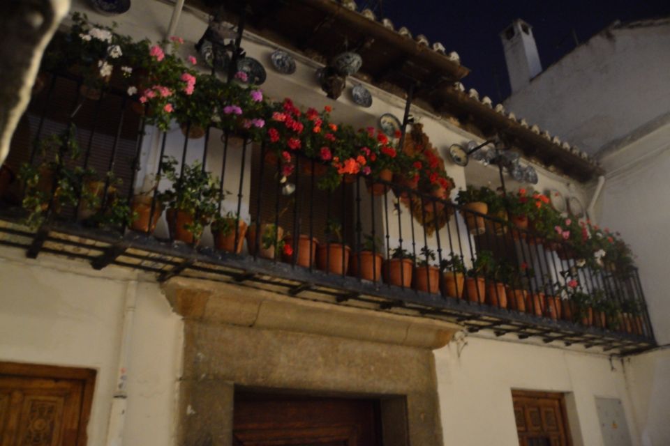 Granada: Sacromonte Caves Flamenco Show - Key things to know before you go