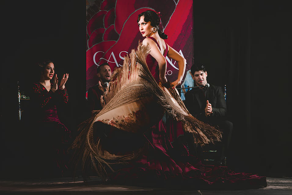 Granada: Traditional Flamenco Show at Tablao Casa Ana - The staging: curtains, lighting, and sound that do the heavy lifting