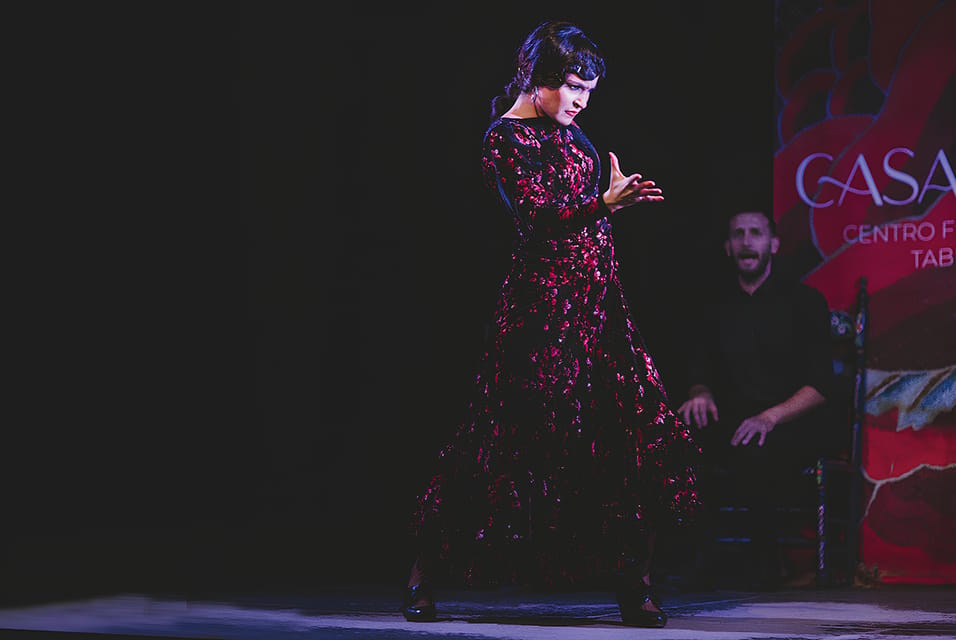 Granada: Traditional Flamenco Show at Tablao Casa Ana - The artists: the skills you’ll spot right away