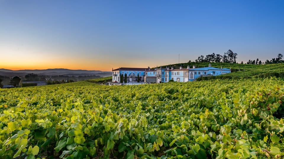 Granbazán Winery: Guided Tour and Wine Tasting - Key highlights to know before you go