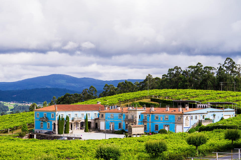 Granbazán Winery: Guided Tour and Wine Tasting - Granbazán Winery in Rías Baixas: a smart 75-minute plan