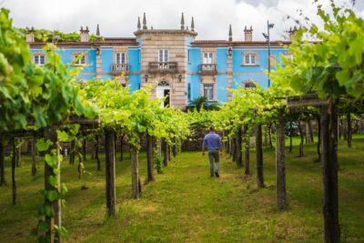 Granbazán Winery: Guided Tour and Wine Tasting - Vineyard walk and winery tour: seeing the work behind the glass