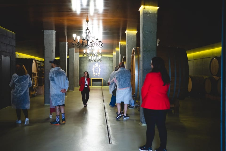Granbazán Winery: Guided Tour and Wine Tasting - Who this tour fits best