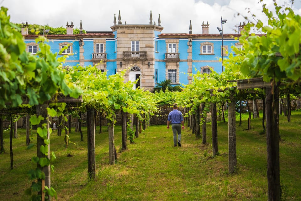 Granbazán Winery: Guided Tour and Wine Tasting - Vineyard walk and winery tour: seeing the work behind the glass