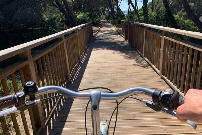 GRAND CITY Private Guided Tour on Bike, E-Bike, E-Step or Segway - Placa del L’ajuntament: the civic heart of Valencia