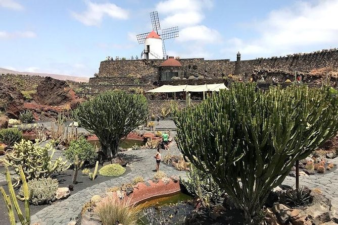 Grand Tour Lanzarote Experience : The Landscape Footprint - Getting to Timanfaya: 8:00 am Pickup and Small-Group Logistics