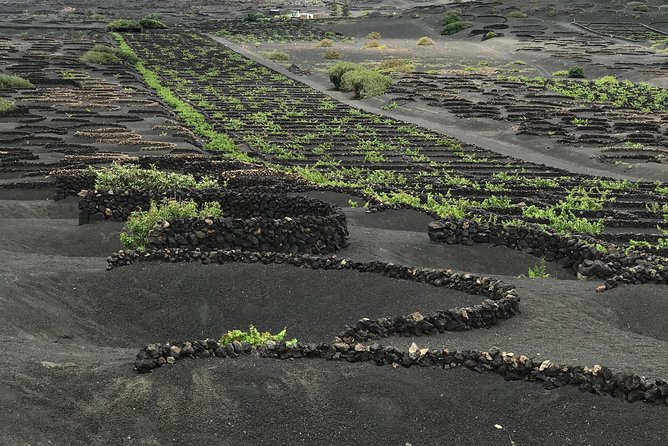 Grand Tour Lanzarote Experience : The Landscape Footprint - Cueva de los Verdes and Jameos del Agua: Manrique’s Two Cave Experiences