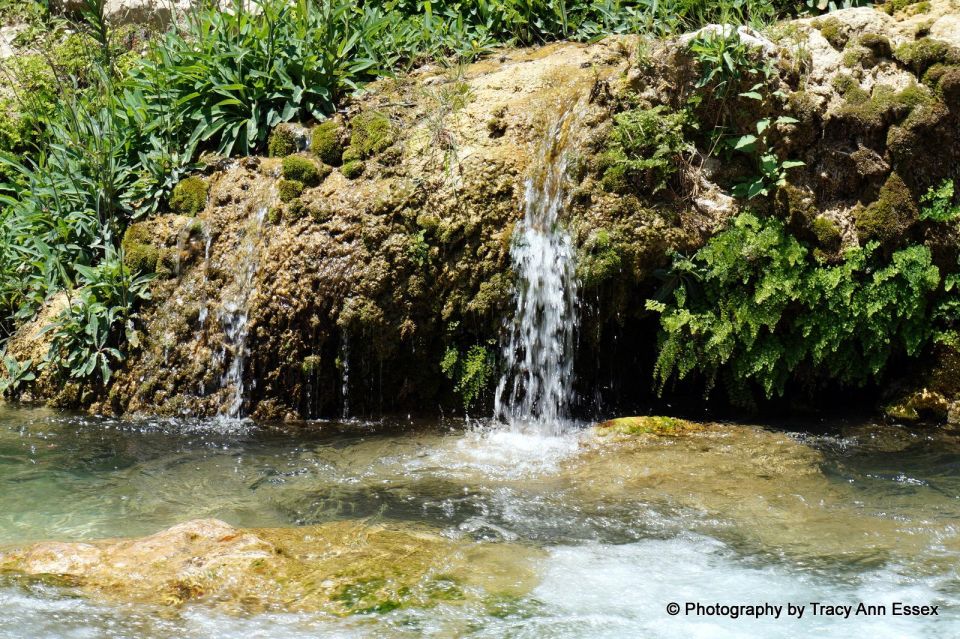 Guadalest & Algar Falls Tour - From Albir, Benidorm & Calpe - Key things I’d lock in before you go