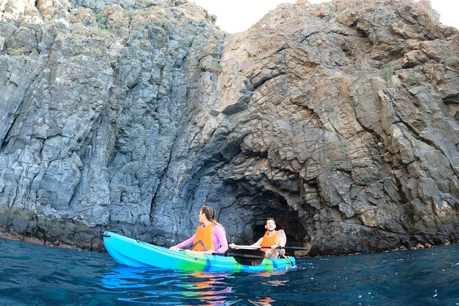 Guided Kayak Tour From Los Cristianos Beach Tenerife - Fish Farm Paddling: where dolphins and turtles become possible