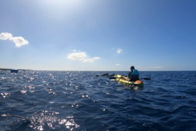 Guided Kayak Tour From Los Cristianos Beach Tenerife - Snorkeling in the Marked Zones: fun, but you should plan for motion