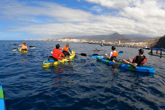 Guided Kayak Tour From Los Cristianos Beach Tenerife - Price and Value: why $54.44 can be a fair deal