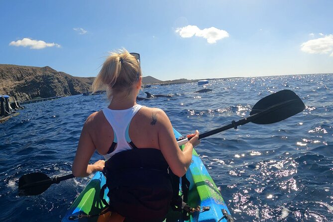 Guided Kayak Tour From Los Cristianos Beach Tenerife - Who This Tour Fits Best (and who should skip it)