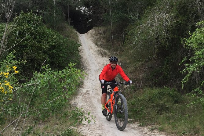 Guided mountain bike route - "Pata Negra" Tour - Key highlights