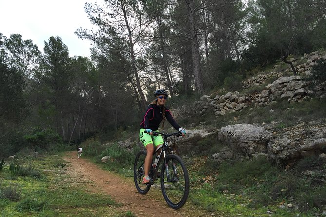 Guided mountain bike route - "Pata Negra" Tour - Riding along the mountain: shifting views, woods, and quiet roads