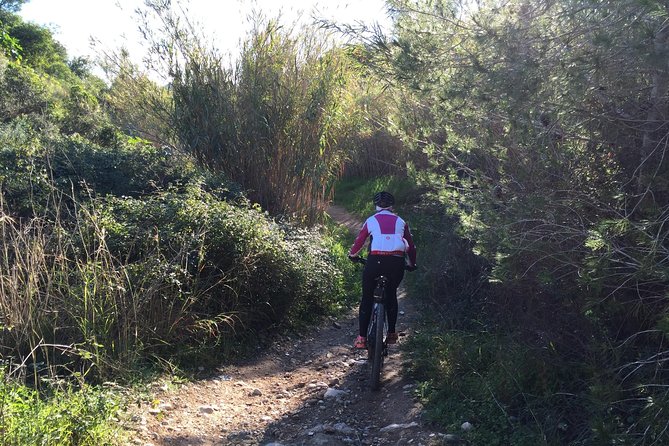 Guided mountain bike route - "Pata Negra" Tour - E-bikes and equipment: why the hills feel doable