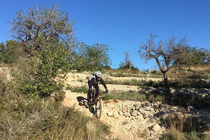Guided mountain bike route - "Pata Negra" Tour - Price and value: is $90.70 worth it?