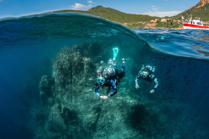 guided Scuba Diving on Tenerife (for certified divers) - Where Radazul fits into Tenerife’s underwater scene