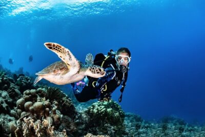 guided Scuba Diving on Tenerife (for certified divers) - Your 6-hour window: what you’re really signing up for