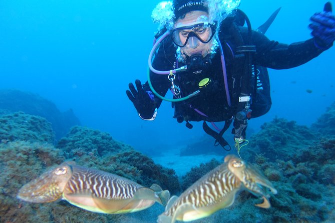 guided Scuba Diving on Tenerife (for certified divers) - Scubanana’s team and instruction style that gets praised