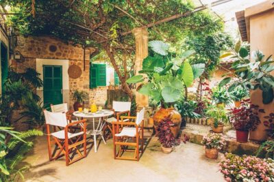 Guided Tasting Tour in 16th century House and Olive Oil Factory - The Brunch Tasting: Where the Tour Becomes Real Food