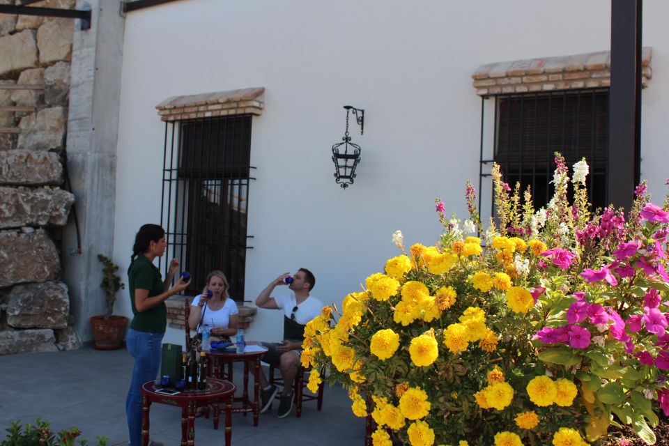 Guided tour and oil tasting at the Aceites Molisur factory - Tasting like you mean it: how the guide helps you read aromas