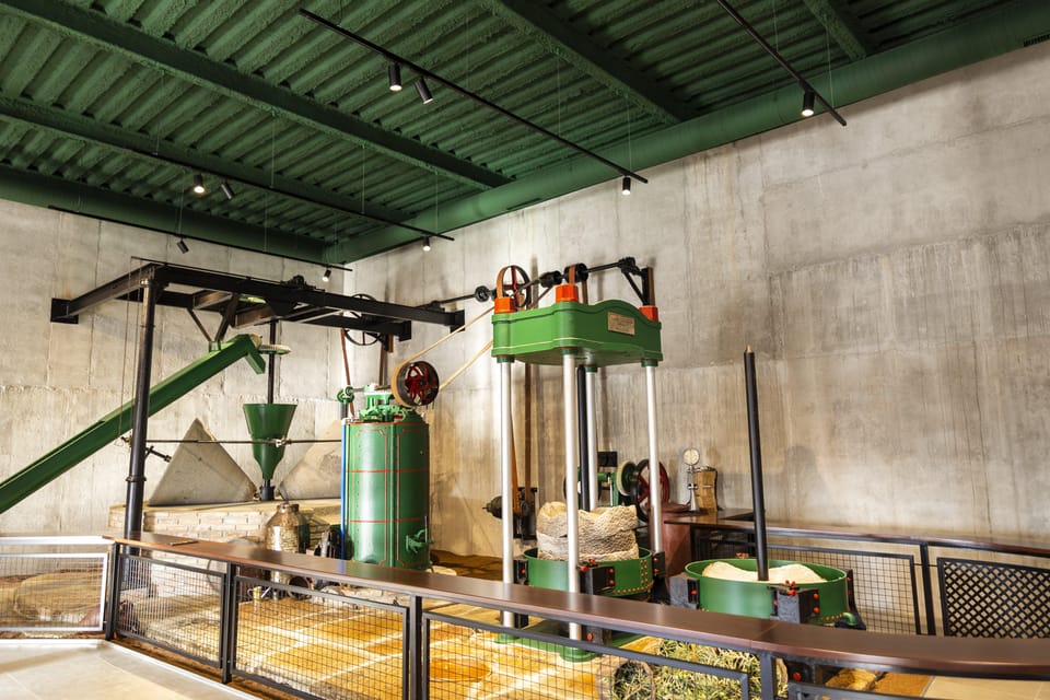 Guided tour and oil tasting at the Aceites Molisur factory - Outdoors in Andalusia: wear comfort, not good intentions
