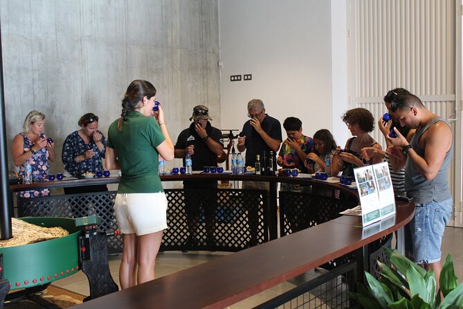 Guided tour and olive oil tasting in Alhaurin el Grande (Málaga) - Key Highlights You’ll Actually Notice