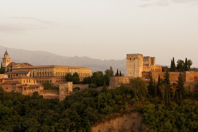 Guided tour of Alhambra and Generalife with Nasrid Palaces - Palacio del Partal: Pond Views and the Torre de las Damas Remnant