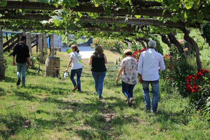 Guided tour of Bodegas Granbazán - Key highlights to look for