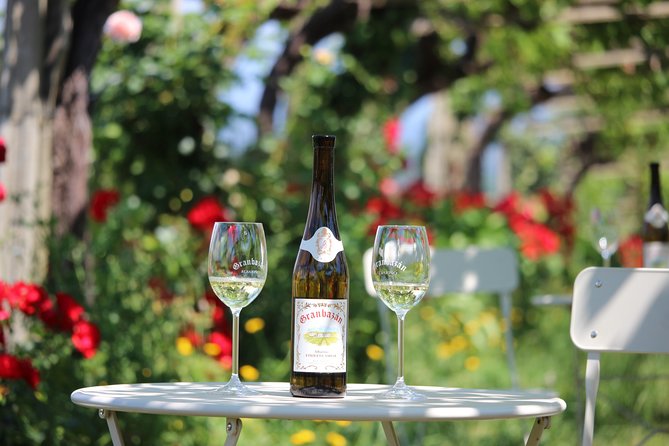 Guided tour of Bodegas Granbazán - Arriving at Bodegas Granbazán: what makes this start work