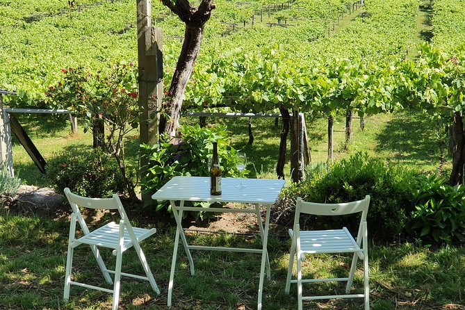Guided tour of Bodegas Granbazán - The final payoff: four Granbazan wines with gourmet tapas