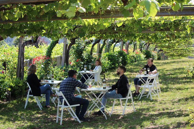 Guided tour of Bodegas Granbazán - Price and value: is $30.23 worth it?