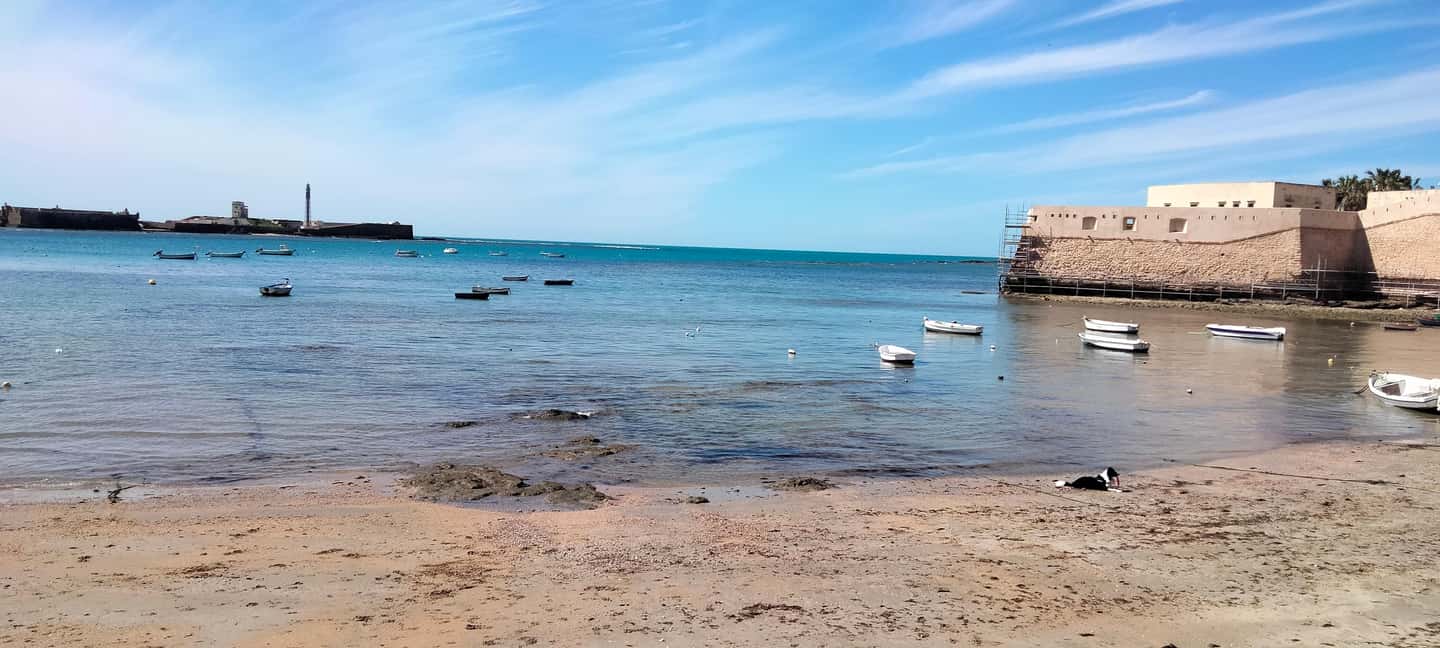 Guided tour of Cádiz in Spanish: stories from a local guide - Should you book the Cádiz guided walk with We Are Cádiz?