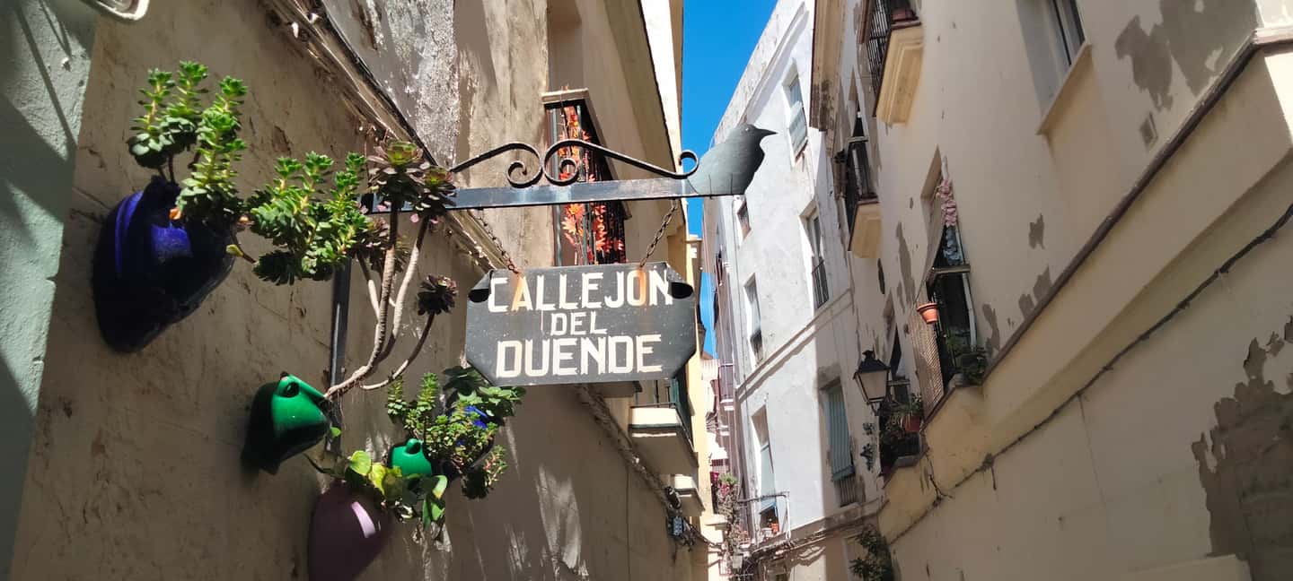 Guided tour of Cádiz in Spanish: stories from a local guide - Historic center walking, but with stories you can actually repeat