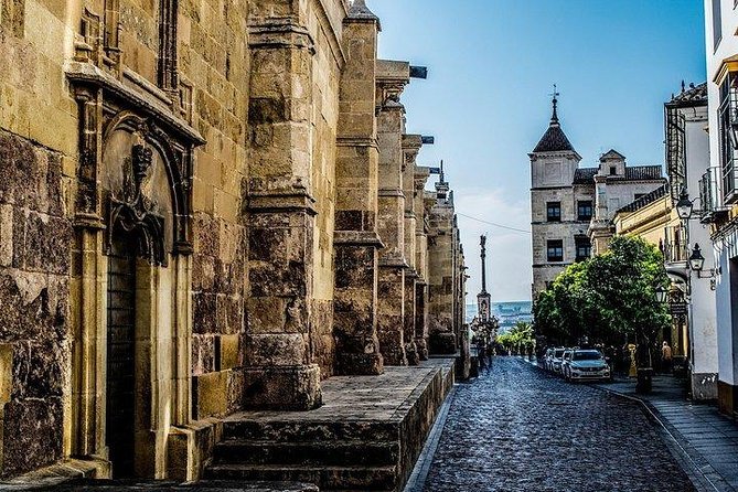 Guided Tour of Monumental Cordoba: Jewish Quarter, Alcazar and Mosque - Who this guided Córdoba loop is best for