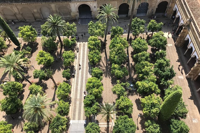 Guided tour of the Mosque-Cathedral in Private tickets included - Who this private tour fits best in Córdoba