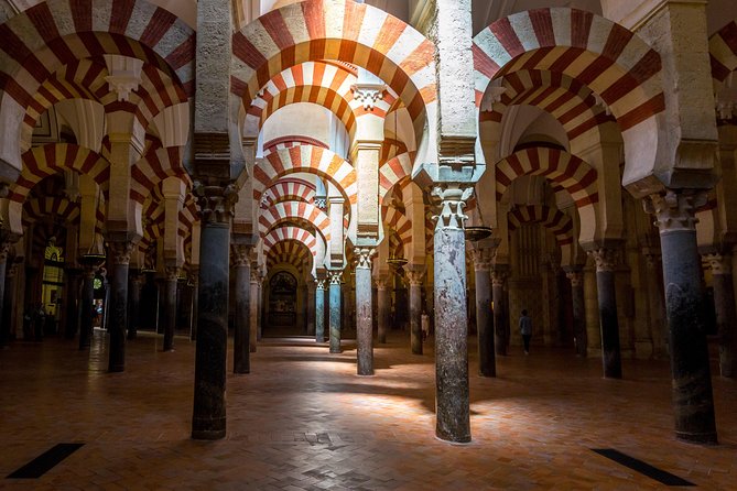Guided tour of the Mosque with entrance included - Price and Ticket Value: Is $30.41 Fair for This Tour?