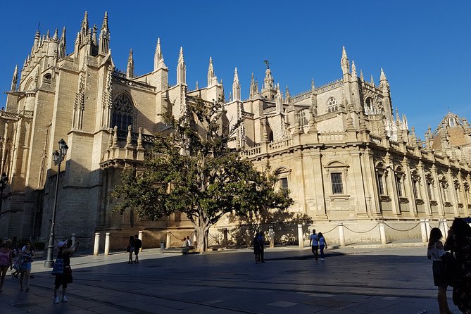 Guided Tour Sevilla Cathedral - Key Highlights You’ll Actually Feel During the Tour
