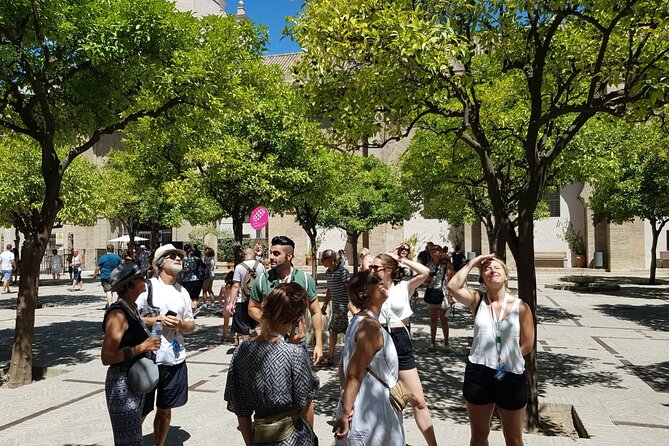 Guided Tour Sevilla Cathedral - Orange Trees Courtyard and the Ablutions Area You Can Still Recognize