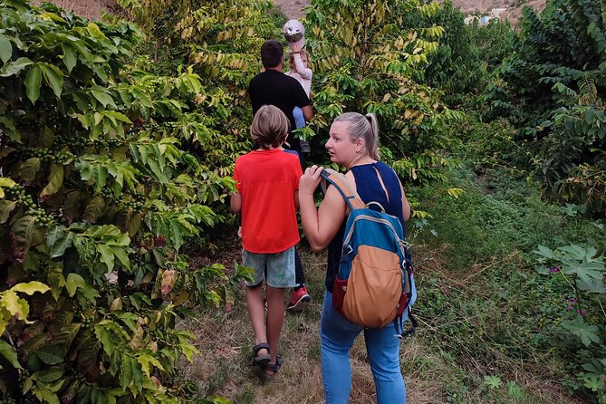 Guided Tour to the only coffee farm in Europe - Sustainable farming talk you can connect to real plants